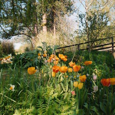 Plumber Manor Hotel Sturminster Newton Esterno foto