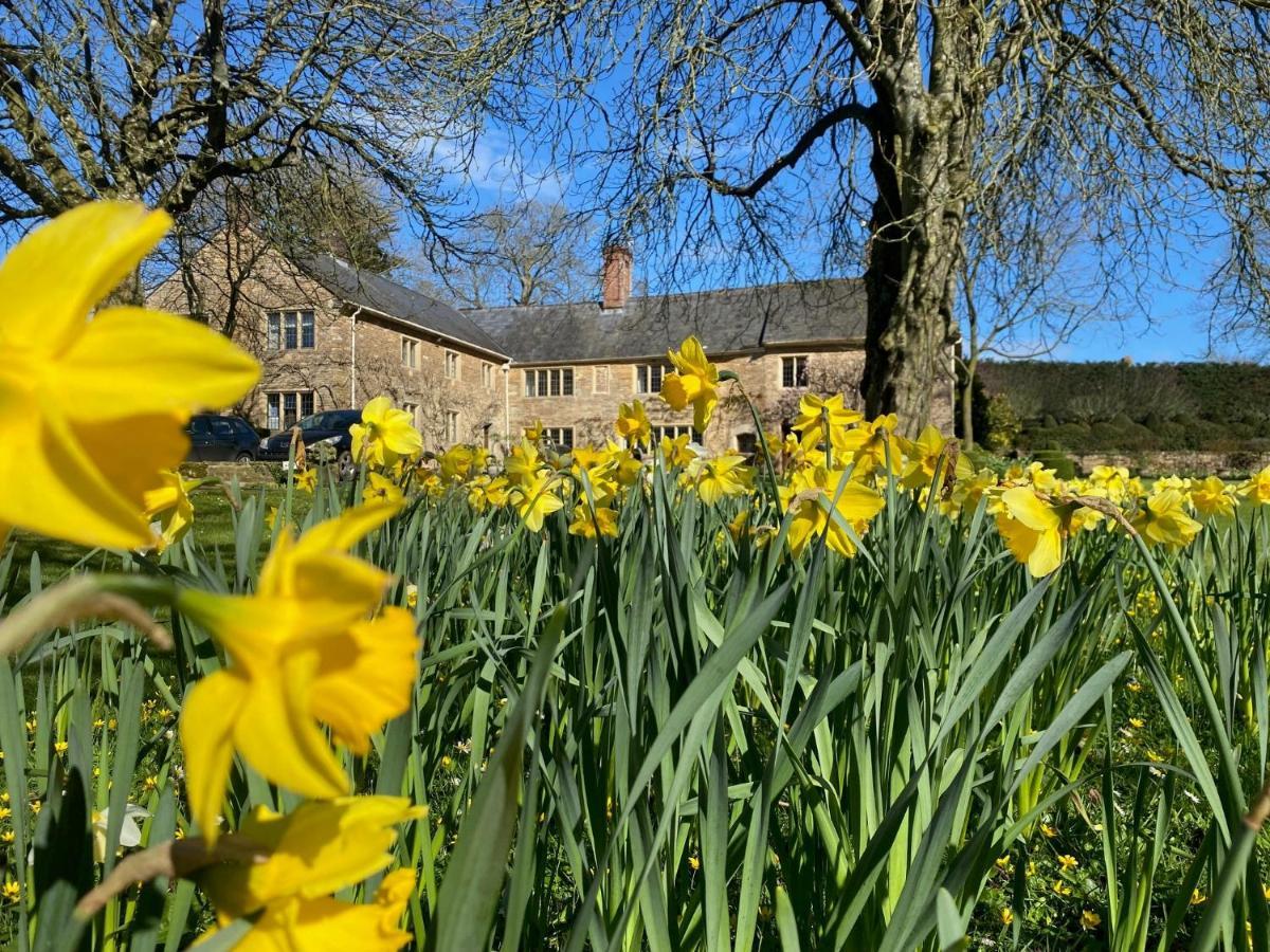 Plumber Manor Hotel Sturminster Newton Esterno foto