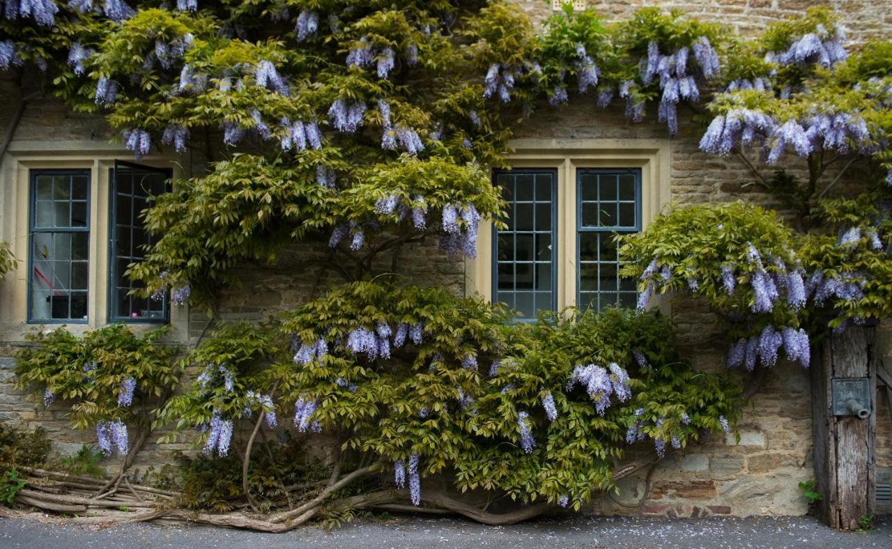 Plumber Manor Hotel Sturminster Newton Esterno foto
