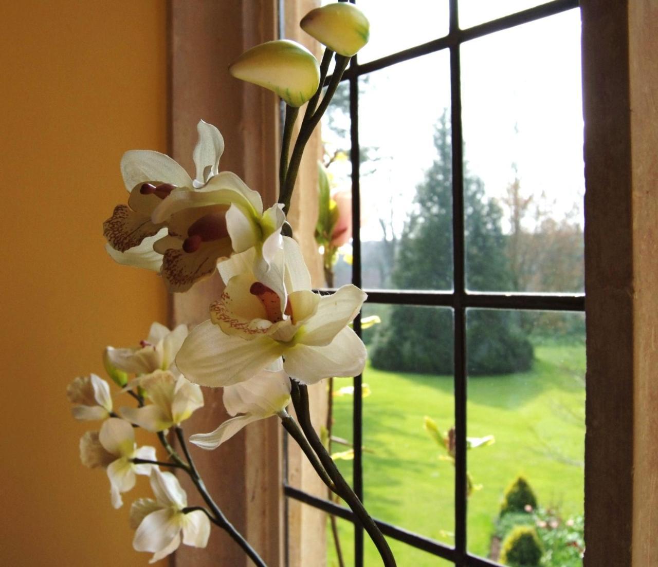Plumber Manor Hotel Sturminster Newton Esterno foto